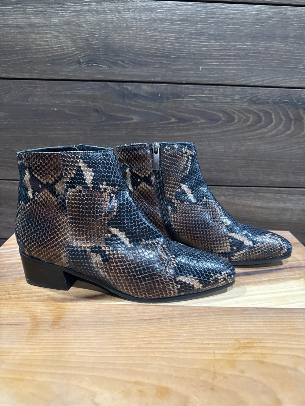 Aquatalia Brown and Black Snake-Print Leather Ankle Booties